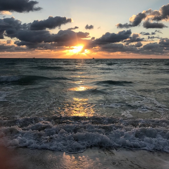 Meet your Posher, Lily - Picture 1 of 1